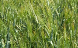 Харьковская 15