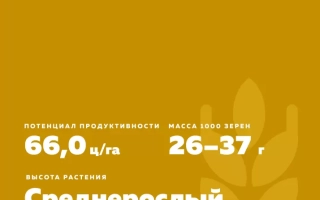 КИНЕЛЬСКАЯ 4