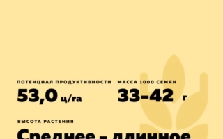 Колос Оренбуржья