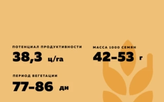 Лариса Янтарная