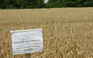 Миронівська 27 / Миронівська 27