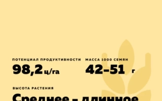 МОСКОВСКАЯ 82