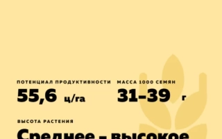 Обская Озимая