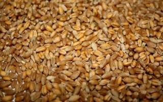 Октябрьская