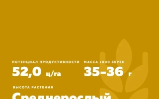 Памяти Азиева