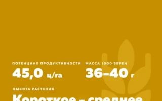 Памяти Коновалова