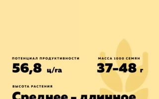 ПРИИРТЫШСКАЯ 2