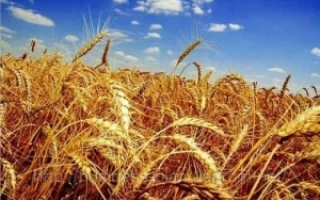 ПС Севастиана