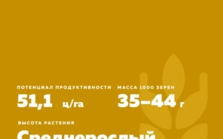 СТОЛЫПИНСКАЯ 2