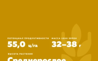 ТУЛАЙКІВСЬКА 108