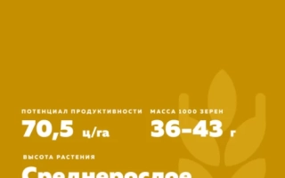 ТЮМЕНСКАЯ 29