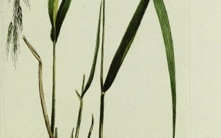 Нюрбинский