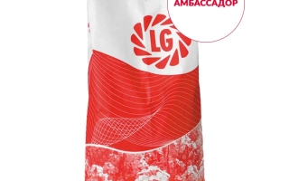 Амбассадор