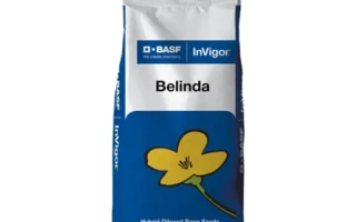 Мешок семян рапса Belinda от BASF InVigor - Белинда