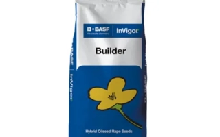 Мешок семян рапса Builder от D-MASE - Билдер