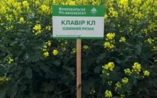 Клавир КЛ