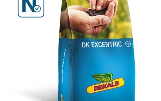 Мешок семян рапса DK EXCENTRIC от компании DEKALB. - ДК ЕКСЦЕНТРИК
