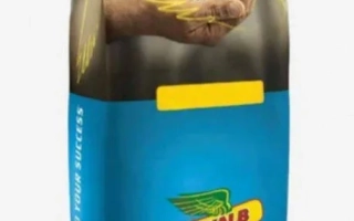 Мешок семян рапса DK Exception от DeKalb - ДК Ексепшн