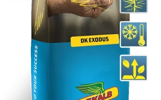 Мешок семян рапса ДК Екзодус