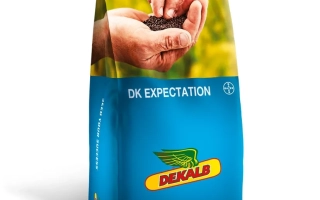 Мешок семян рапса DK EXPECTATION от DeKalb - ДК ЕКСПЕКТЕЙШН