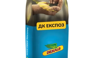 Мешок семян рапса ДК ЕКСПОЗ от компании DEKALB