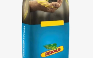 Мешок с семенами DEKALB для рапса - ДК Екстракт