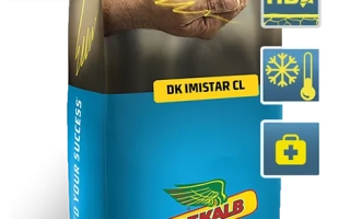 Мешок с семенами рапса ДК Имистар КЛ