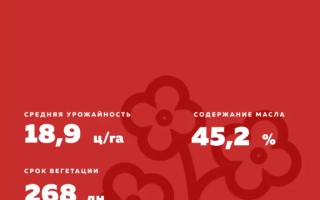 Пакет семян рапса ДК Импрешн КЛ
