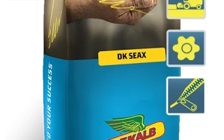 Мешок семян рапса DK SEAX от Denald - ДК Сеакс