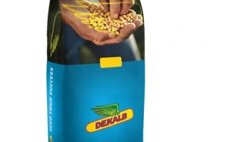 Синий мешок семян рапса с логотипом DEKALB и изображением желтых семян в руках. - ДК Секюр