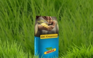 Пакет семян ДК Седона на фоне зелёной травы