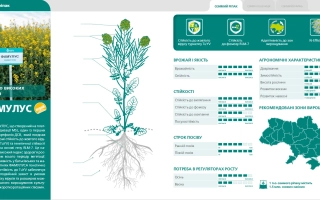 Информационная страница о продукте Фамулус | Famulus с иллюстрацией растения и картой