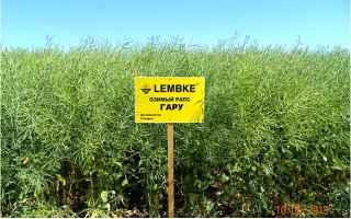 Желтый знак LEMBKE на фоне поля рапса - ГАРУ