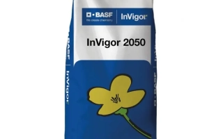 Мешок семян InVigor 2050 для рапса - Инвигор 2050