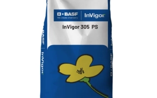 Мешок семян рапса InVigor 305 PS от BASF