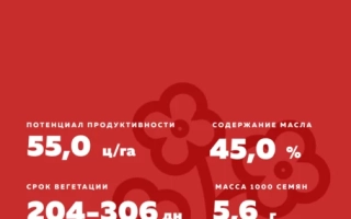 КВС Кирил КЛ