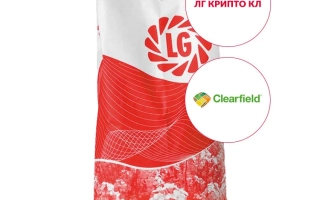 ЛГ Крипто КЛ