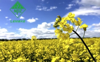 Поле рапса с логотипом НПЦ 9800 на фоне