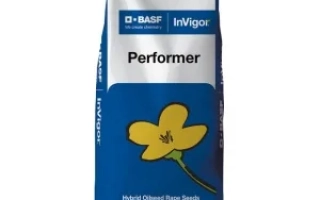 Мешок семян рапса Performer от BASF - Перформер