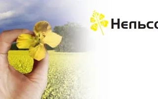 Рука держит рапсовый цветок на фоне поля с логотипом Нельсон