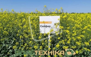 Сейфер — пакет семян рапса на фоне поля