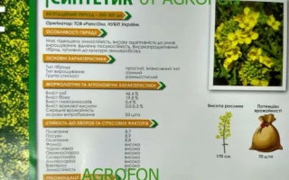 Синтетик от Agrofon — пакет семян рапса с описанием характеристик и фото растения.