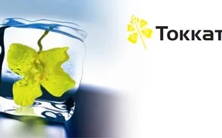 Логотип бренда Токката на белом фоне