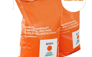 Оранжевый мешок семян рапса УМБЕРТО КВС от KWS