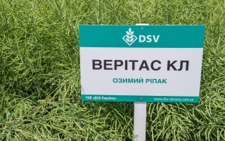 Веритас КЛ