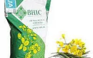 Мешок семян BHIC с изображением рапса - ВНИС 100