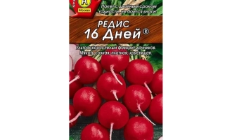 Пакет семян редиса 16 Дней