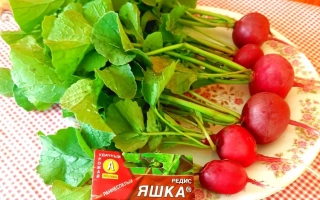 Семена редиса ЯШКА на упаковке рядом с готовым продуктом