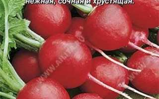 Пакет семян редиса Бодrostь с изображением свежих корнеплодов - БОДРОСТЬ