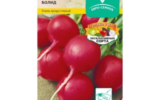 Пакет семян редиса Болид с изображением красных корнеплодов